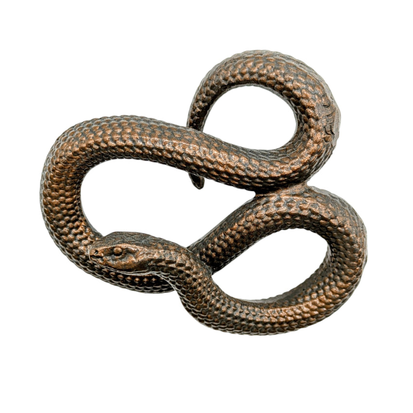 Hanging Snake