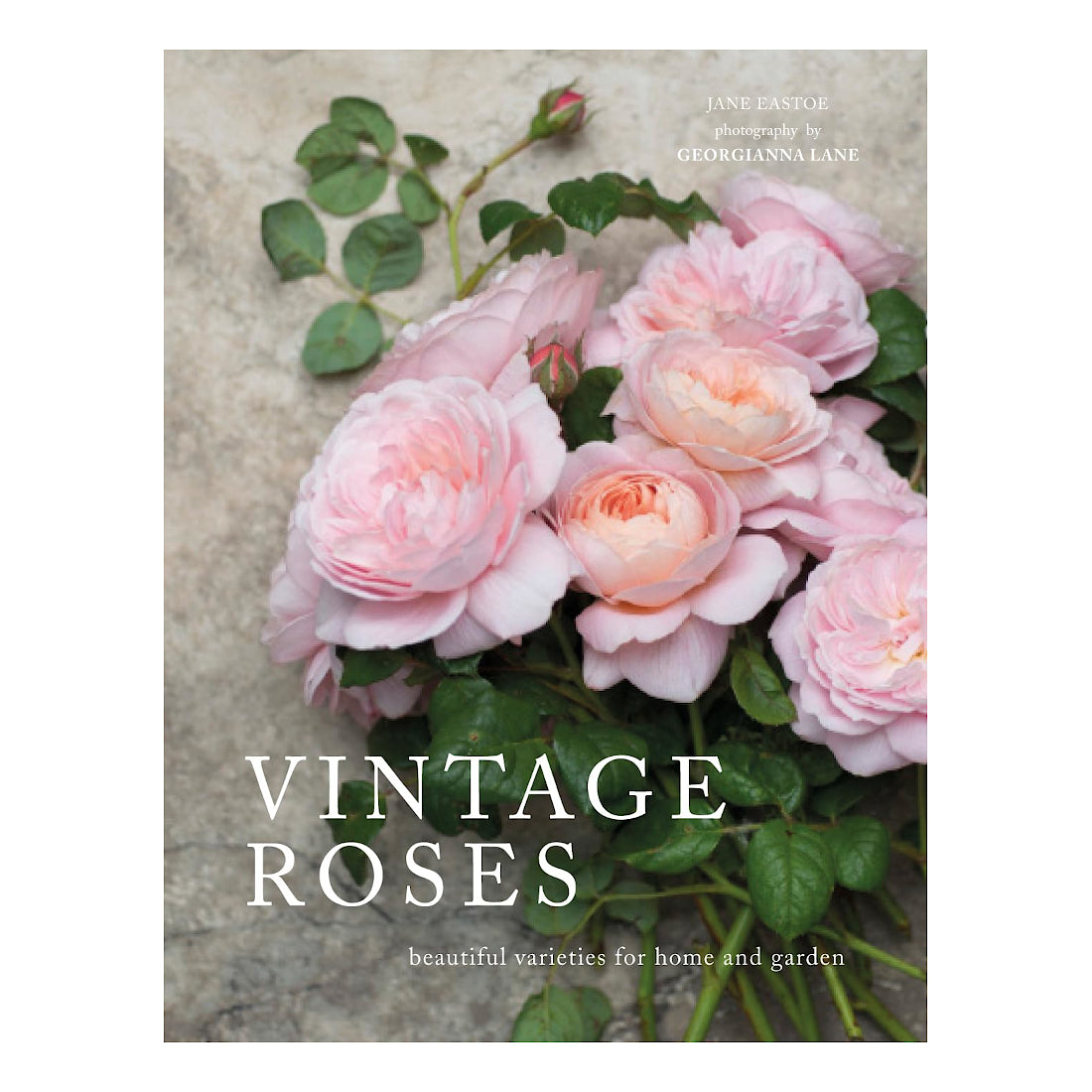 Vintage Roses: Beautiful Varieties for Home and Garden