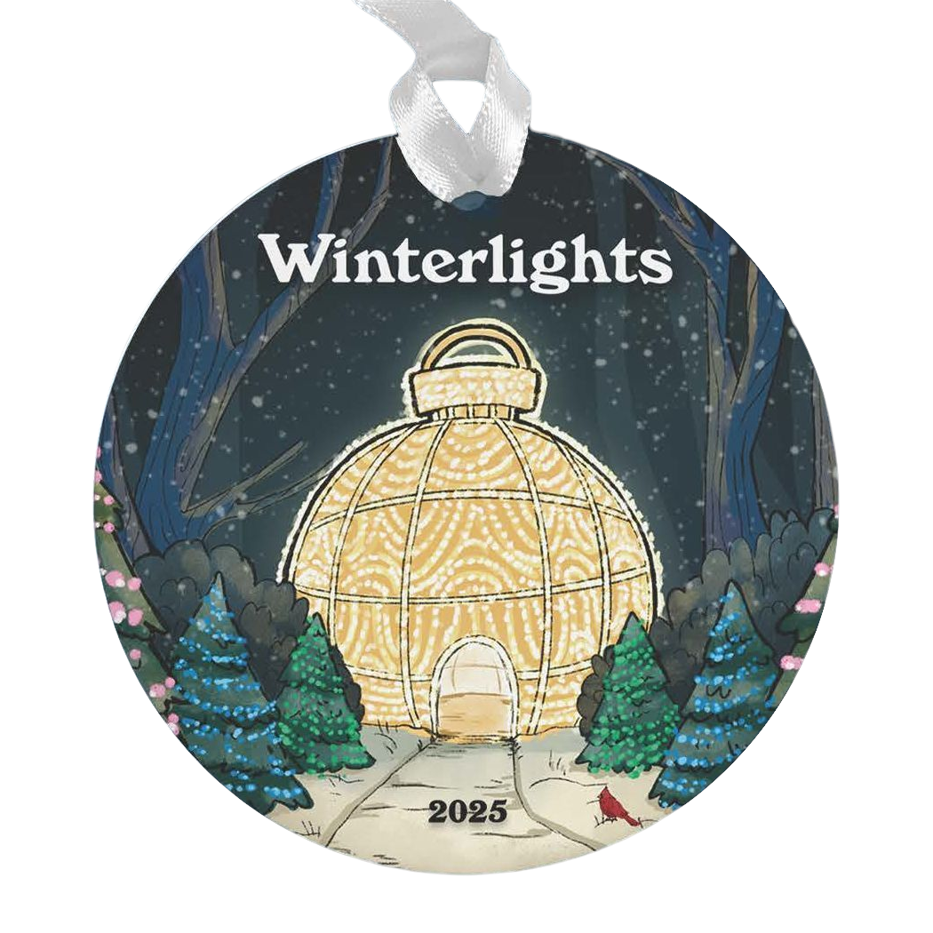 2025 Winterlights Disk Ornament