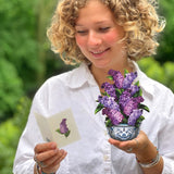 Mini Garden Lilacs Pop-Up Greeting Card