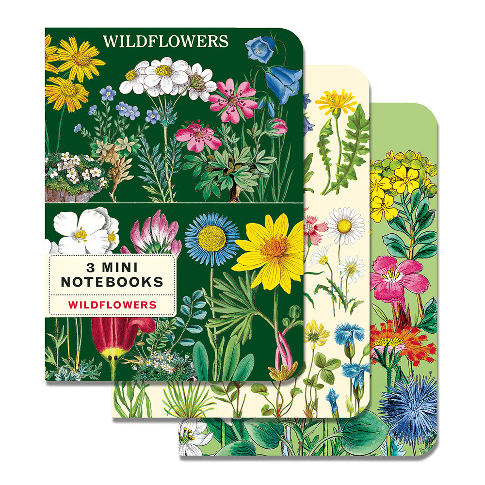 Vintage Wildflowers Mini Notebook Set