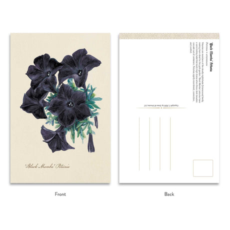 The Goth Garden: Dark Blooms Postcard Set