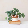 Mushroom Shaped Planter