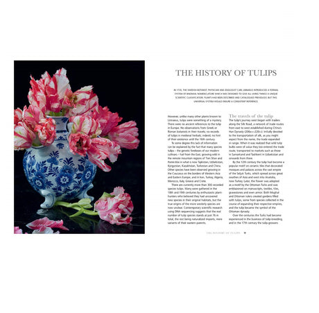 Tulips