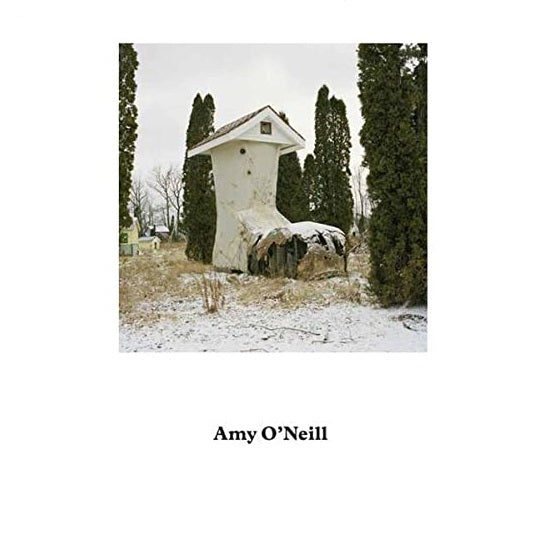 Amy O'Neill: Suburban Imagination