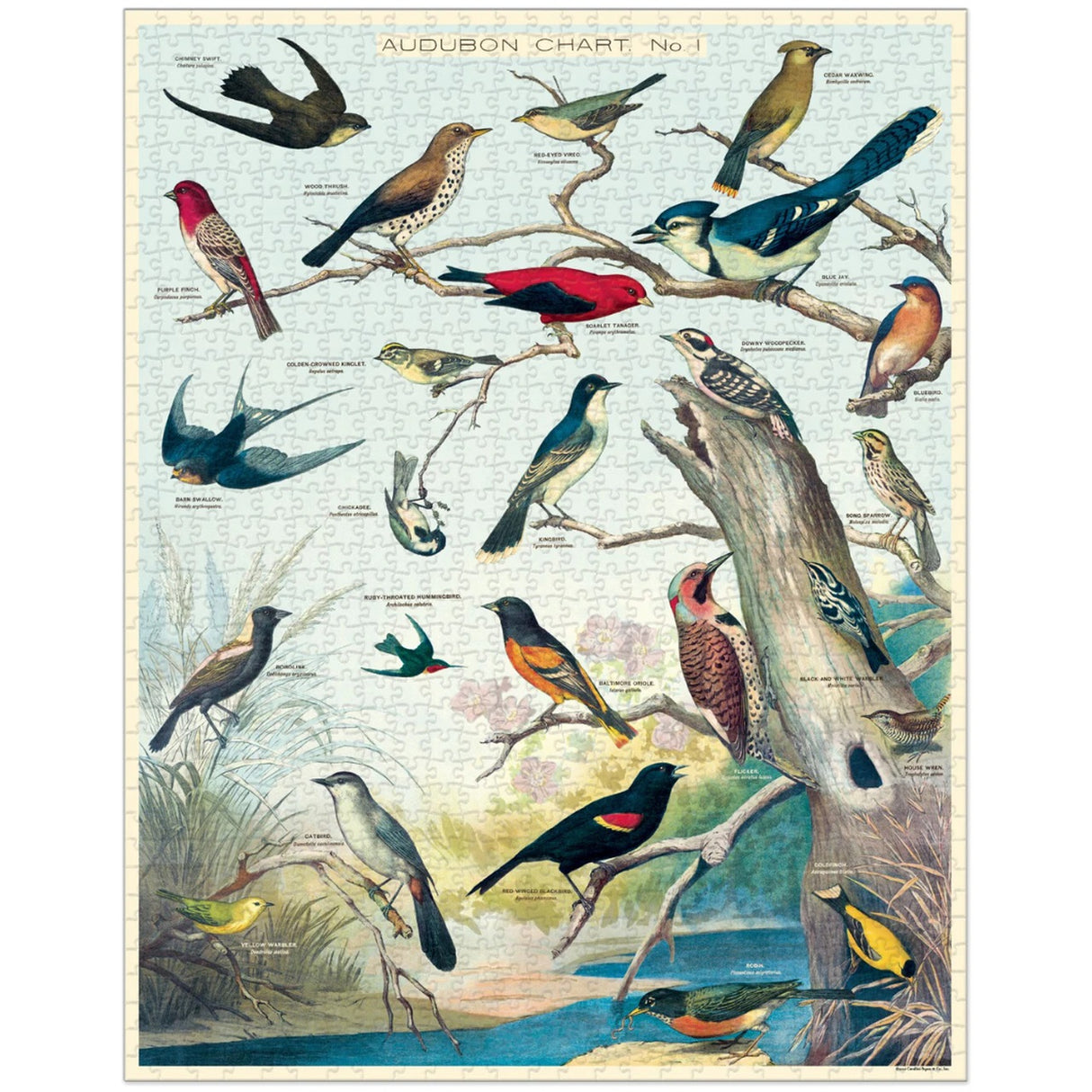 Audubon Birds Puzzle