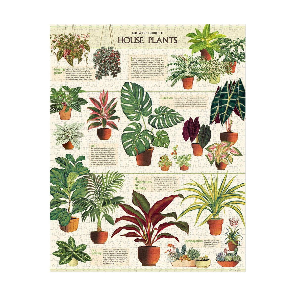 House Plants Puzzle