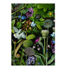 Deb Stoner 'Flora' Boxed Note Cards