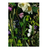 Deb Stoner 'Flora' Boxed Note Cards