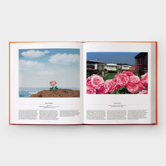 Flower: Exploring the World in Full Bloom