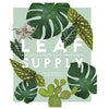 Leaf Supply:  A Guide to Keeping Happy Houseplants