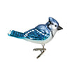 Bright Blue Jay Clip Ornament