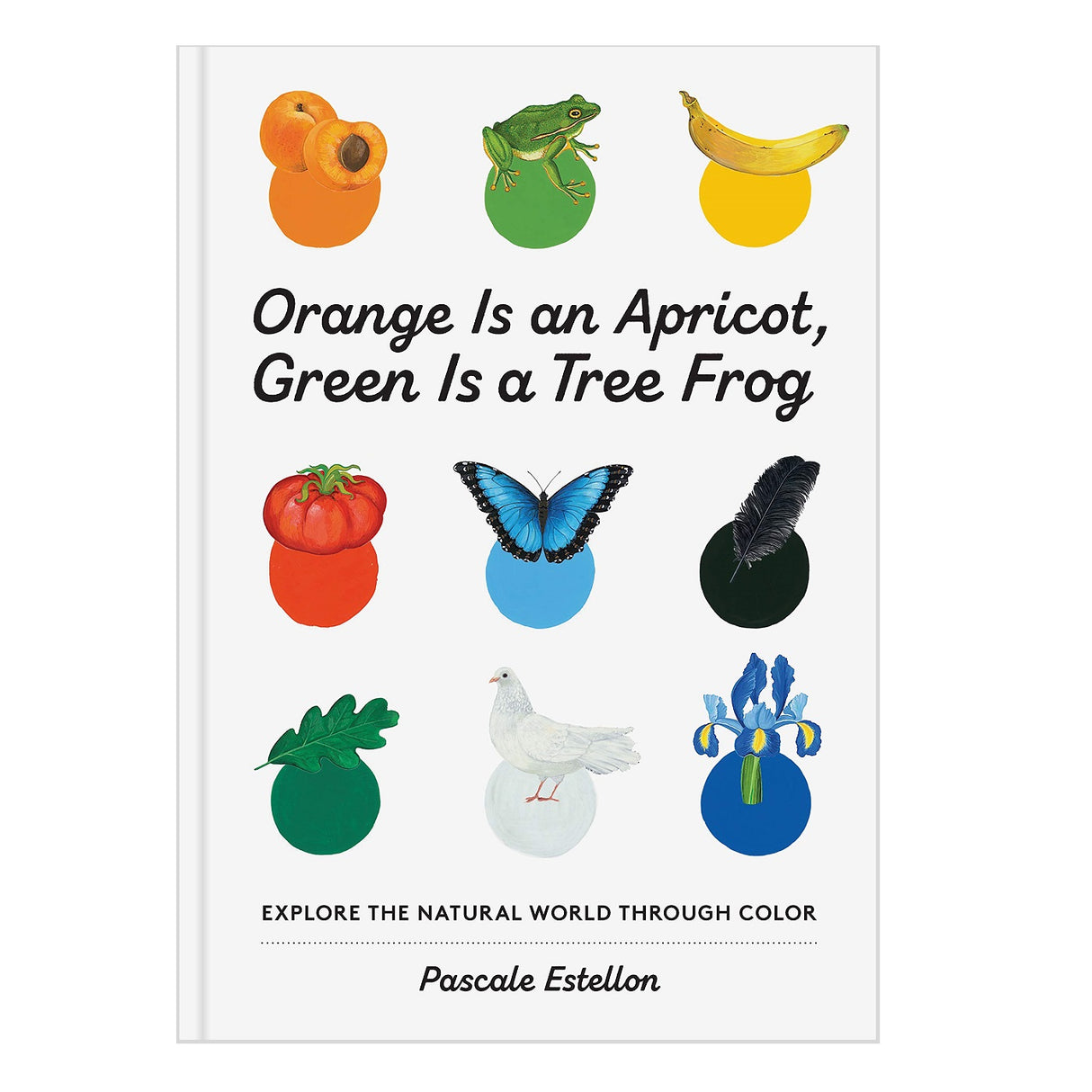 Orange Is an Apricot, Green Is a Tree Frog