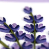 Lavender Quilling Card