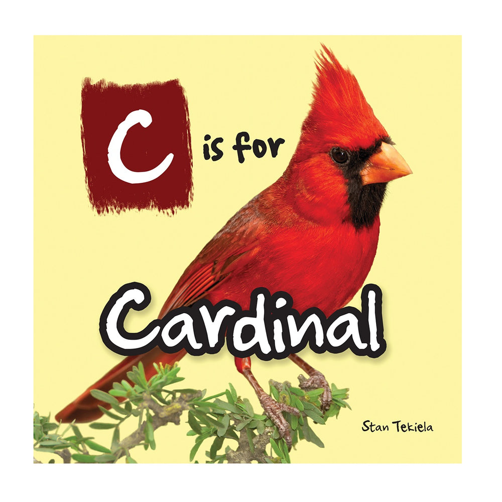C is for Cardinal